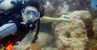 Underwater Yap Stone